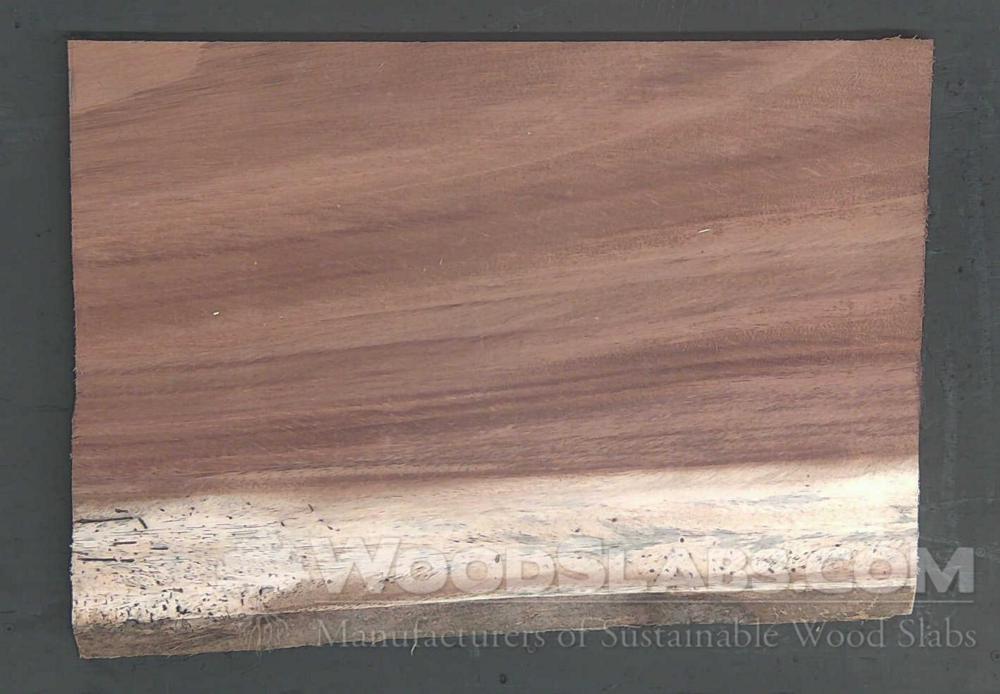 Parota Wood Slab #5IF-8YI-2W8B