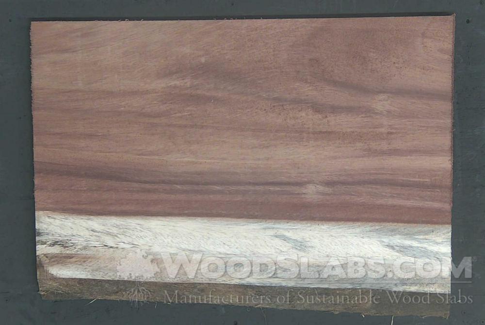 Parota Wood Slab #FOQ-SWX-DJBG