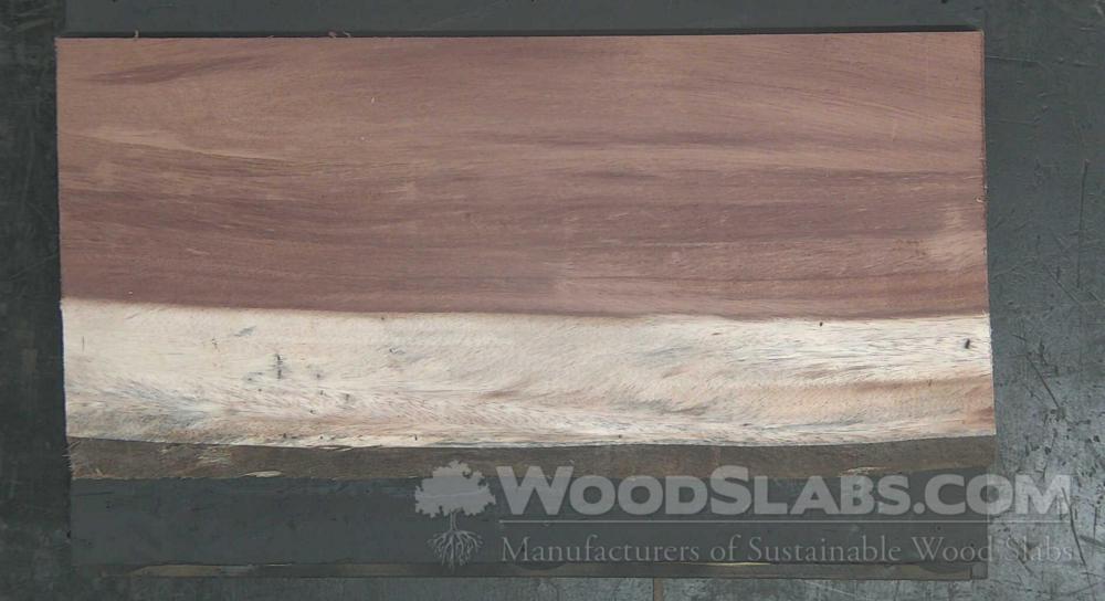 Parota Wood Slab #CCM-SE8-BR90