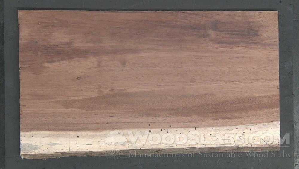 Parota Wood Slab #4VK-6V4-D7W5