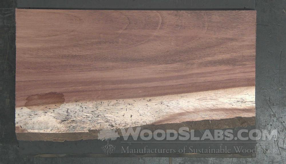 Parota Wood Slab #8PA-90X-F80T