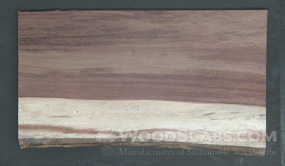Parota Wood Slab #46F-GVY-YFWH