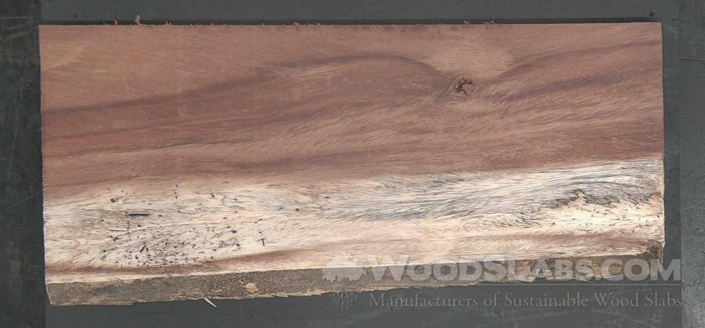Parota Wood Slab #DK3-227-OV59
