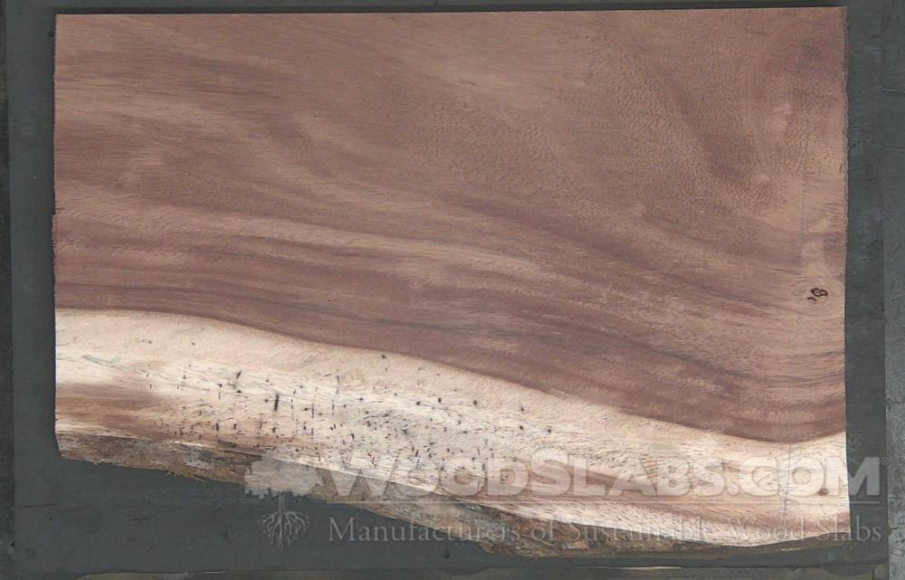 Parota Wood Slab #0SG-DLA-N7HG