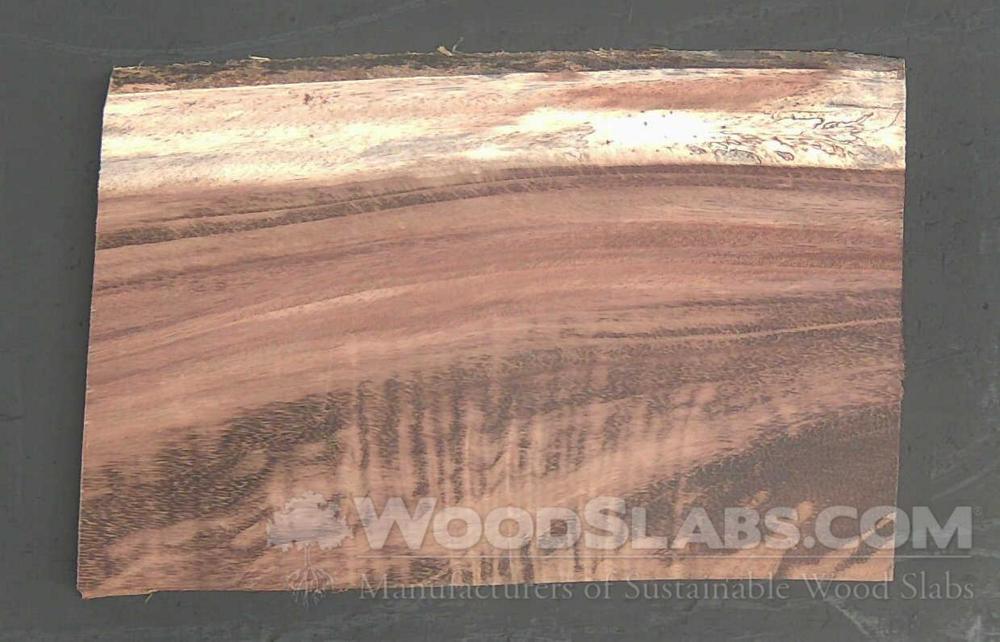 Parota Wood Slab #96G-ZO7-WZ95