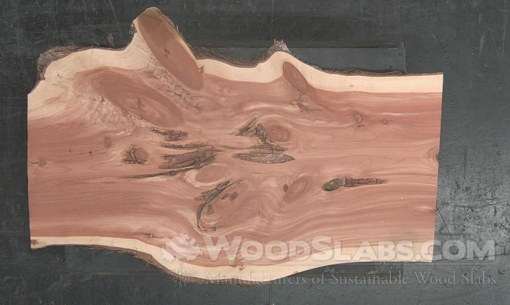 Aromatic Cedar Wood Slab #RLC-7BY-PJXQ