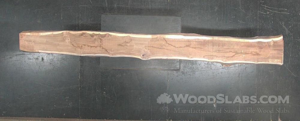 Latin Teak Wood Slab #3QL-ILO-WLUF