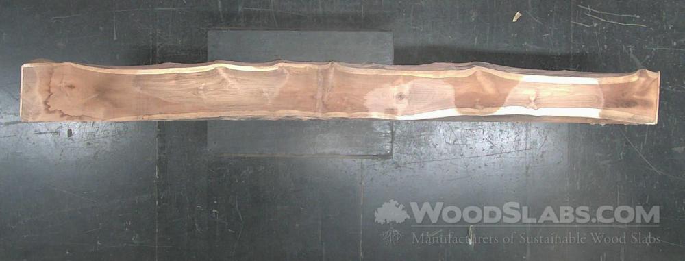 Latin Teak Wood Slab #SNW-3FI-CXFS