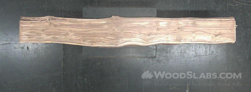 Latin Teak Wood Slab #J46-Y6J-J31E