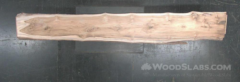 Latin Teak Wood Slab #NKF-C6T-S8PL