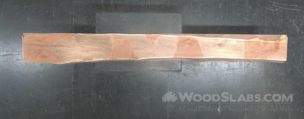 Latin Teak Wood Slab #W8G-FHD-MD8B