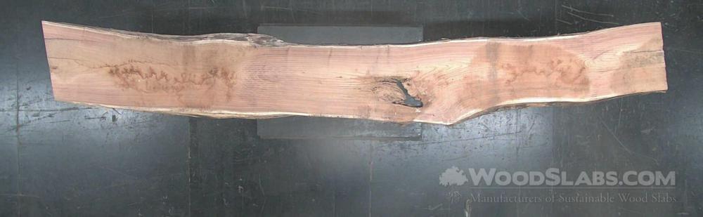 English Elm Wood Slab #03M-7GW-NKSY