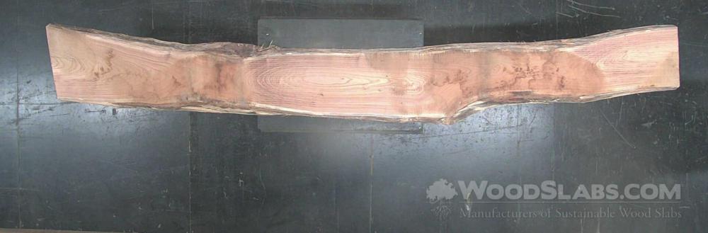 English Elm Wood Slab #16H-BF0-XNH1