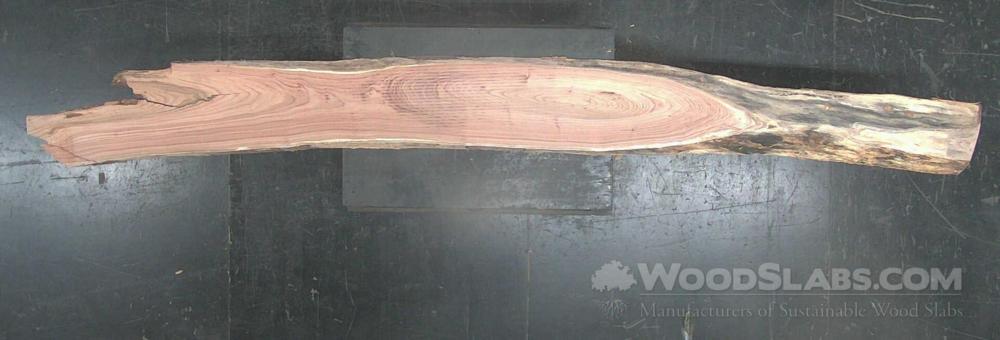 English Elm Wood Slab #RT1-67A-8LH9