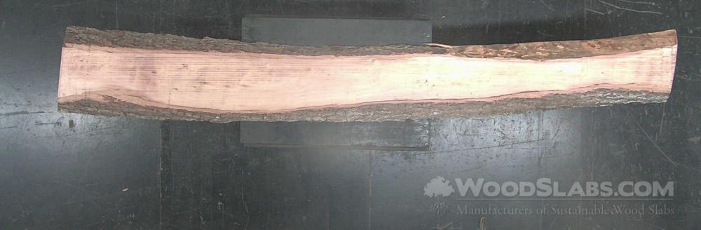 Ash Wood Slab #V0N-8SN-L3Q4