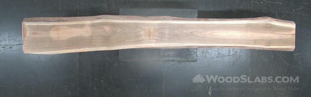 Latin Teak Wood Slab #FX7-L1M-IF4L