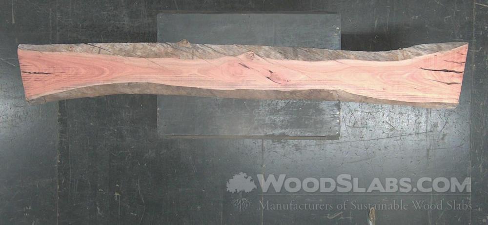 Eucalyptus Wood Slab #KGD-ESV-4HAY