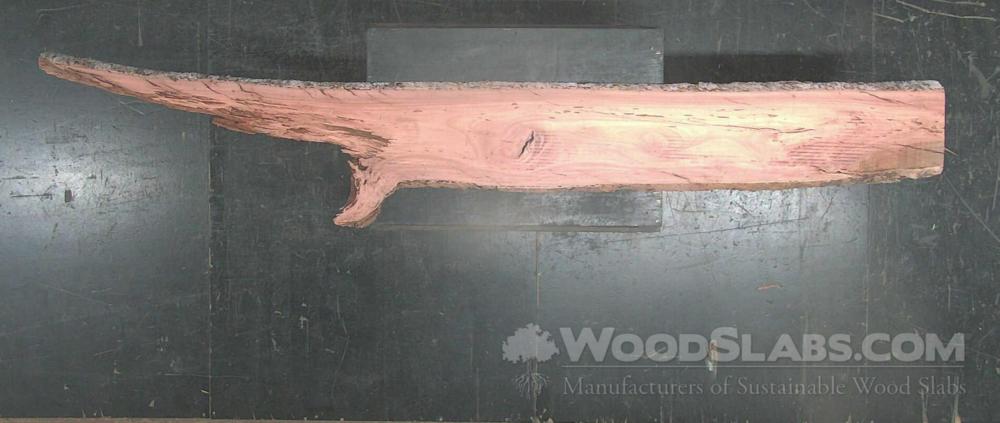Eucalyptus Wood Slab #D8E-AIG-14F4