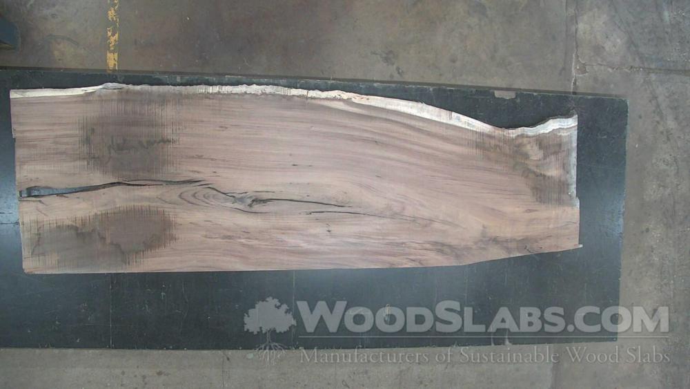 Parota Wood Slab #IVV-C4D-0HZV
