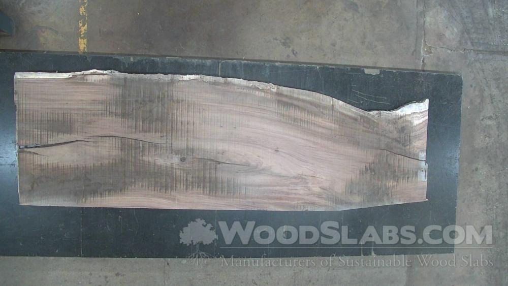 Parota Wood Slab #K1V-7QZ-50I6