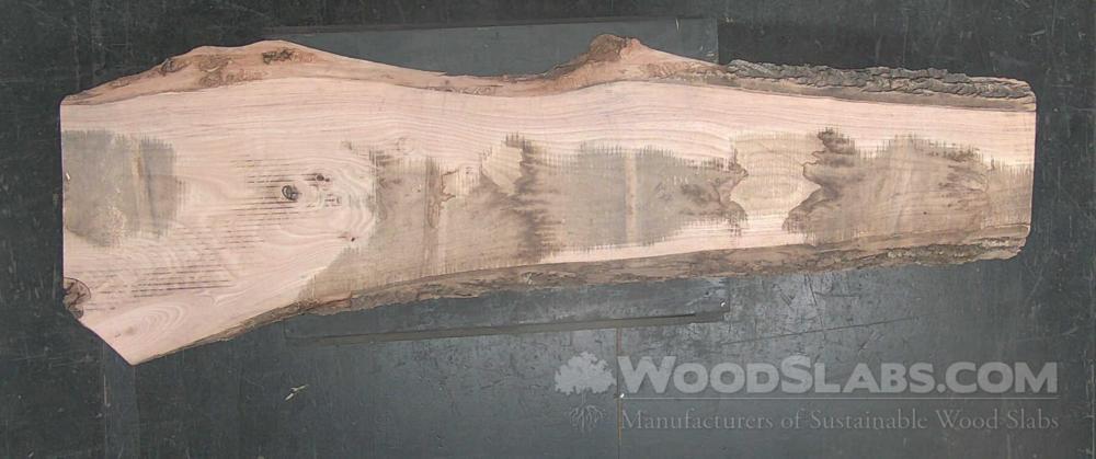 White Oak Wood Slab #A9O-6RP-ZN9N
