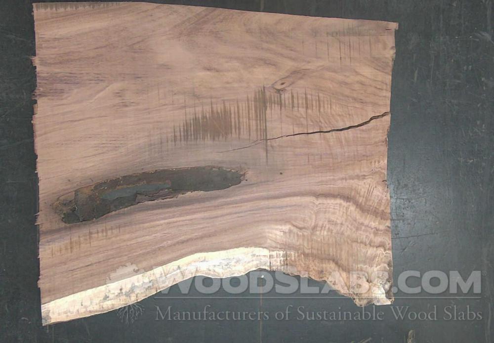 Parota Wood Slab #ULQ-B14-1TOR