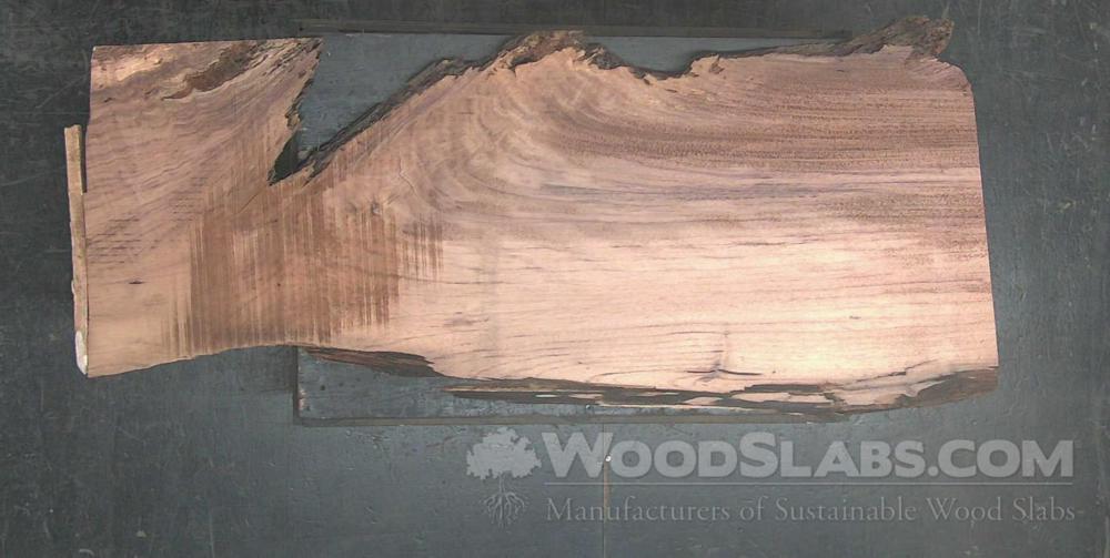 Parota Wood Slab #YAO-LKL-9JP2