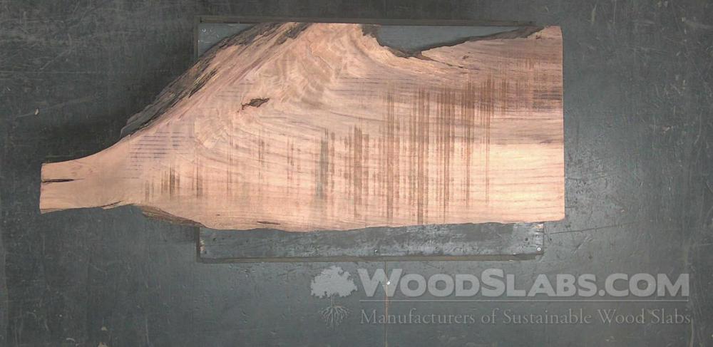 Parota Wood Slab #FEO-BVT-T2CC