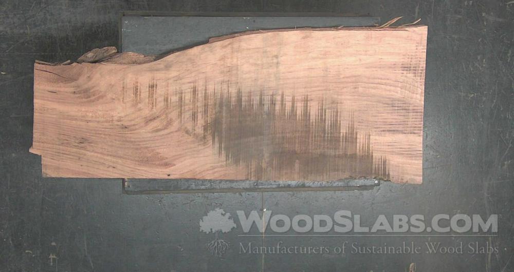Parota Wood Slab #TXB-D8H-SUZZ