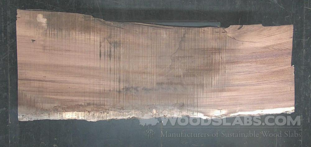 Parota Wood Slab #MLO-9CI-LAAQ