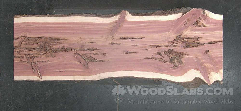 Aromatic Cedar Wood Slab #8V8-BRQ-KCCD