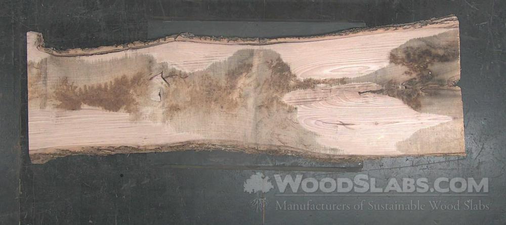 White Oak Wood Slab #74M-07B-CLJF