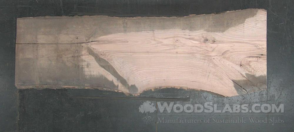 White Oak Wood Slab #Y7T-1FW-6OVB