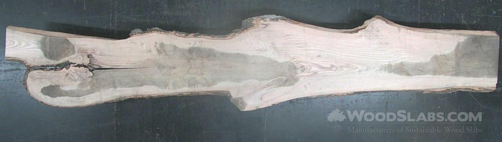 White Oak Wood Slab #61K-IOI-43J9