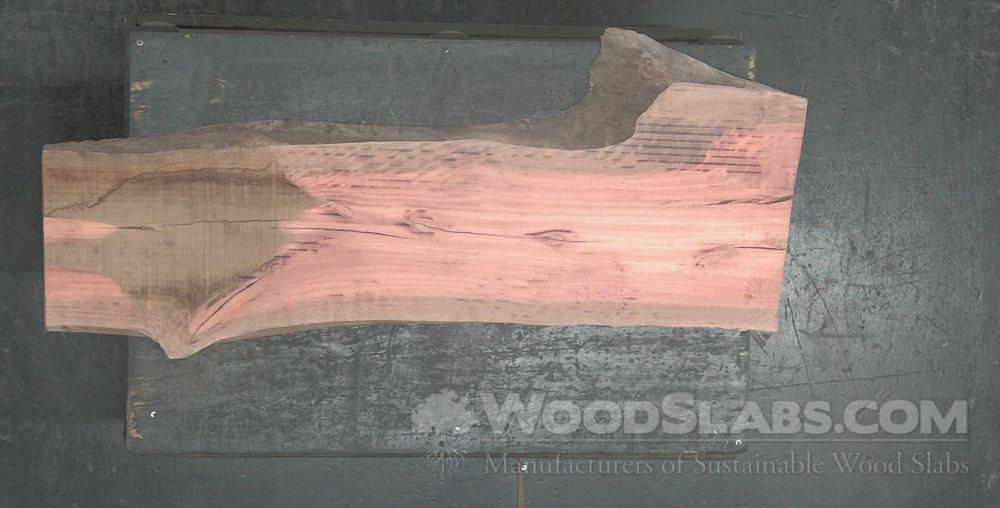 Eucalyptus Wood Slab #A9V-0TE-3SPU