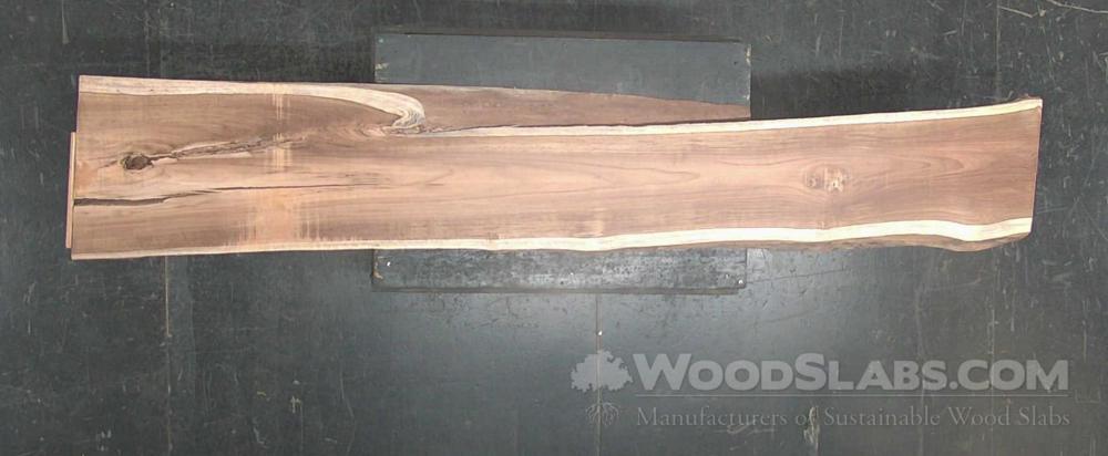 Latin Teak Wood Slab #3H2-L88-GQ4W