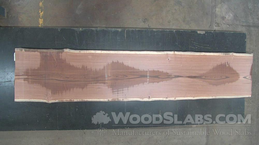 Tigerwood Wood Slab #HOE-SK4-ISWH