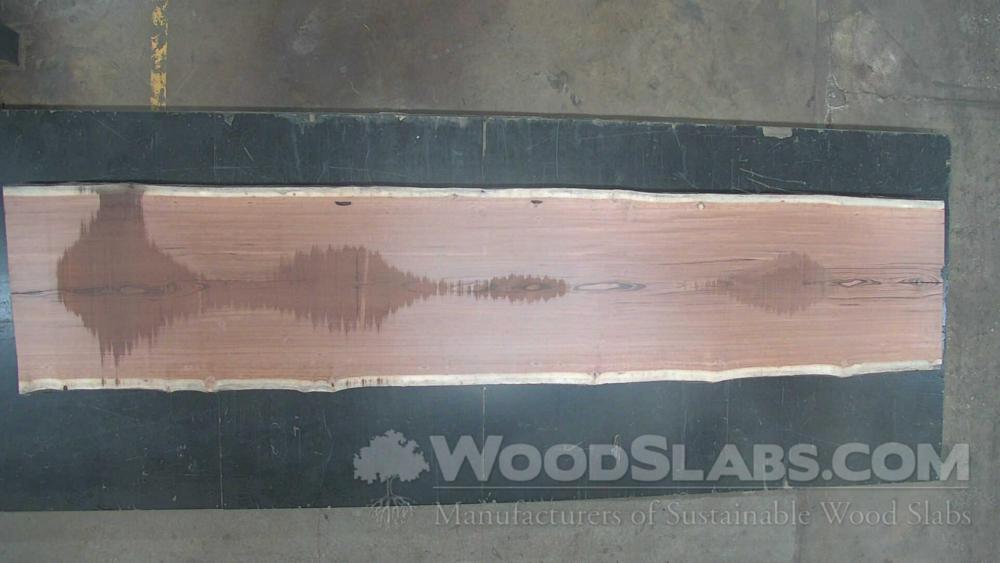 Tigerwood Wood Slab #8NZ-LZ3-XCY0