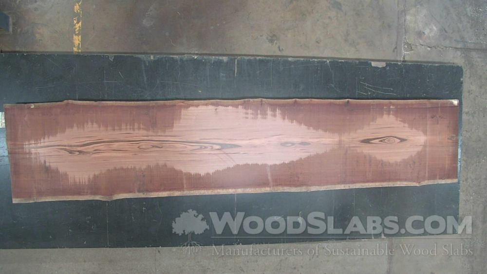 Tigerwood Wood Slab #GQ1-6OX-MRFH