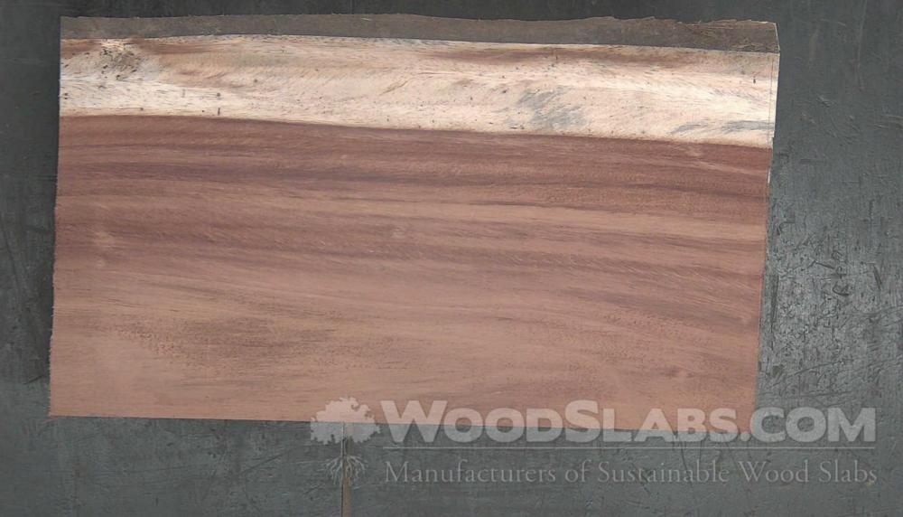 Parota Wood Slab #GG5-G8X-ZMHE
