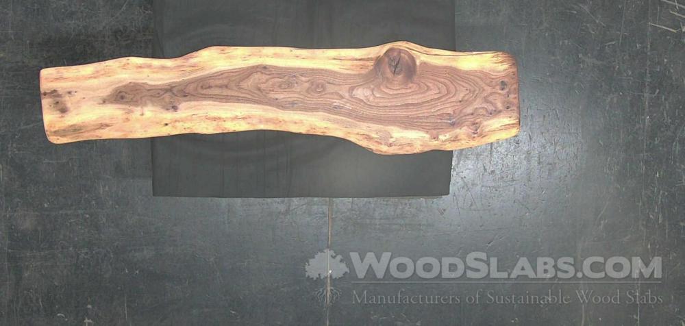 english elm Wood Slab #JI6-TOT-E2VS