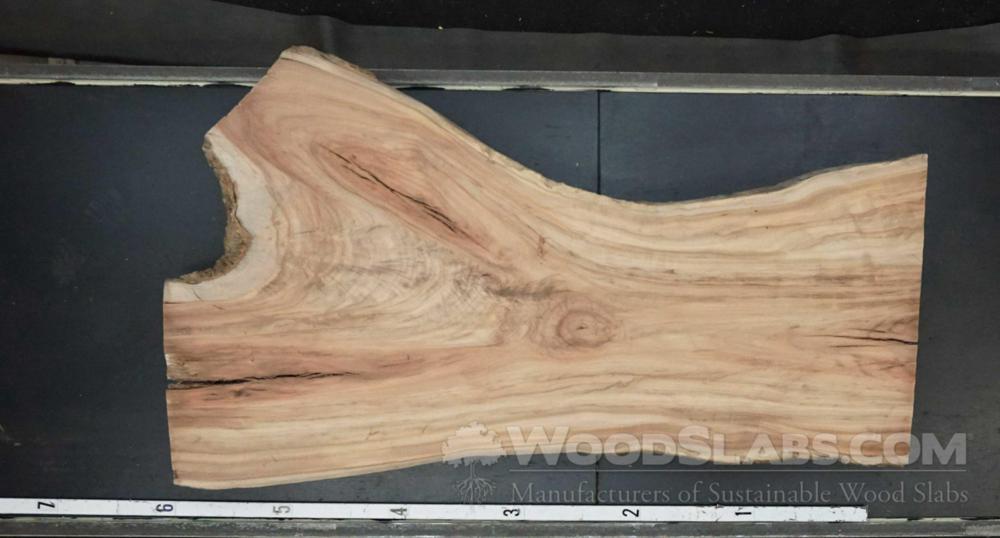 Camphorwood Wood Slab #02Z-MZX-XFDS