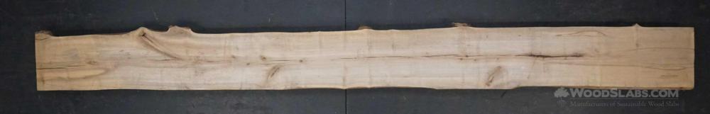 Ambrosia Maple Wood Slab #H2B-QF1-SLKB