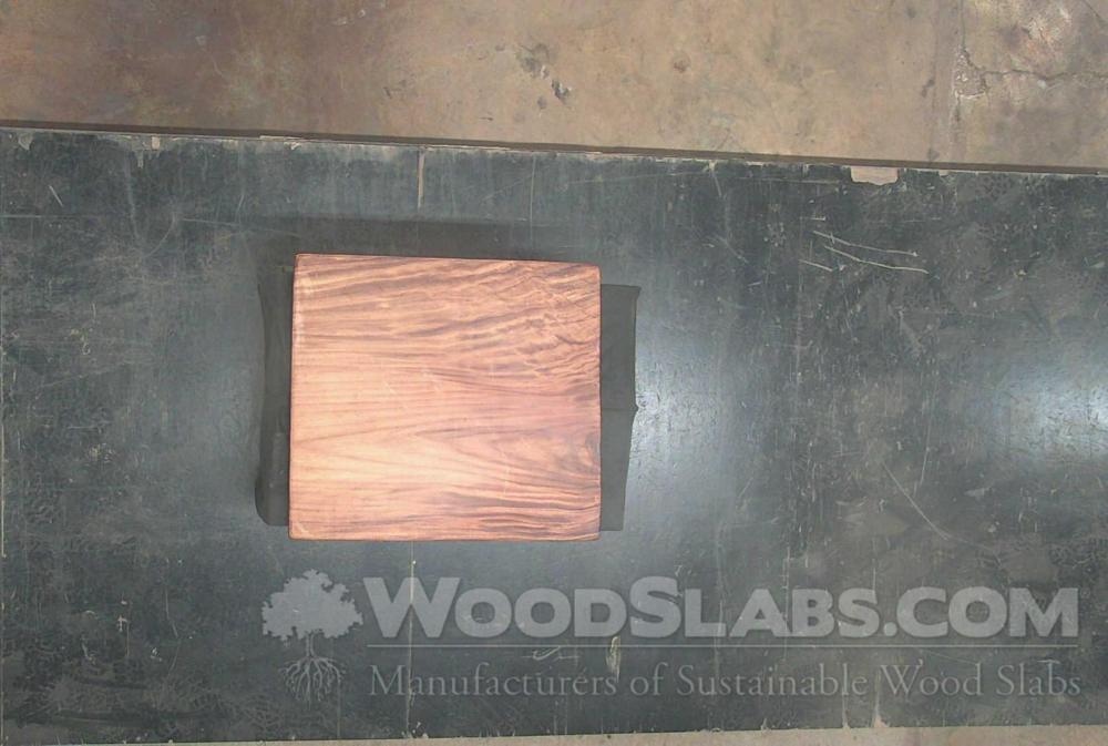 Monkey Pod Wood Slab #HID-KK1-FFXV