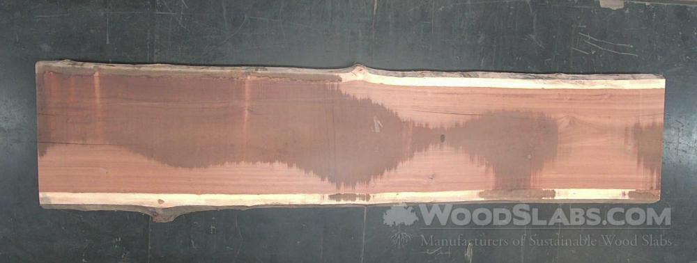 Tigerwood Wood Slab #QQU-43J-BGK9
