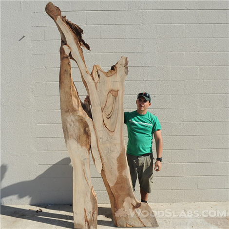 Wood Slabs as Artistic Decoration