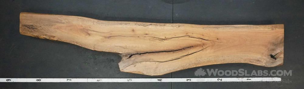 Laurel Oak Wood Slab #50C-PDW-7KJW