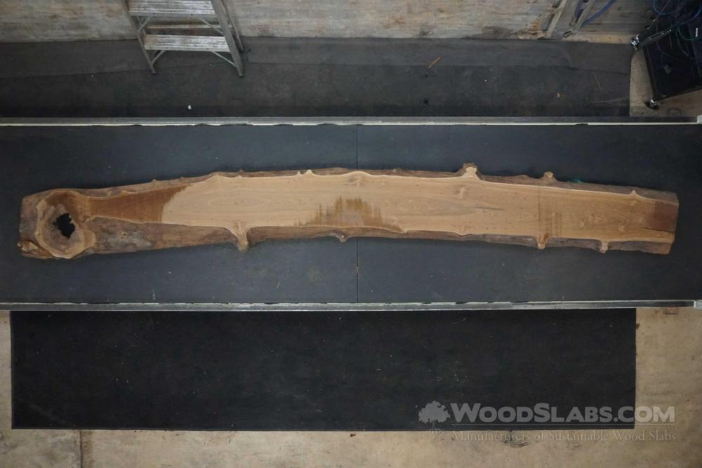 Itauba Wood Slab #XKZ-3LM-WKSI