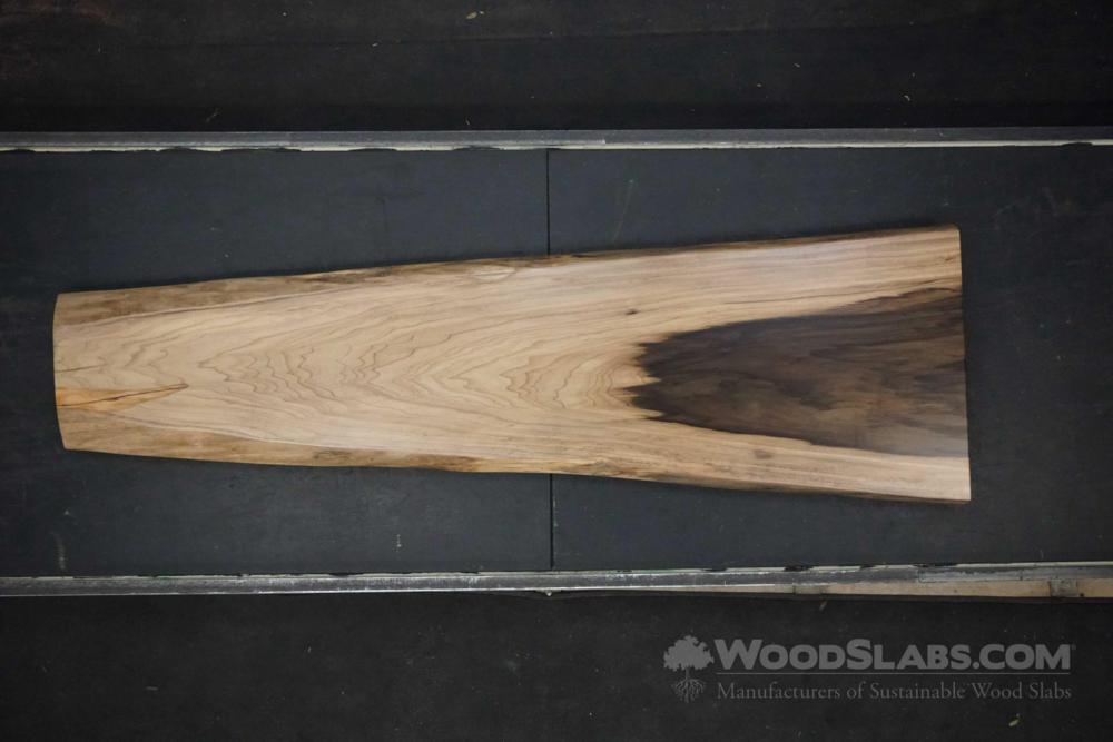 Rainbow Poplar Wood Slab #U95-OJZ-9569