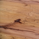 Pecan